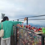 Seoul: Highlights of Seoul Half-Day Tour - The Itinerary Breakdown