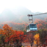 Seoul: Mt.Seorak, Nami Island & Korean Garden, No Shopping - A Deep Dive into the Experience
