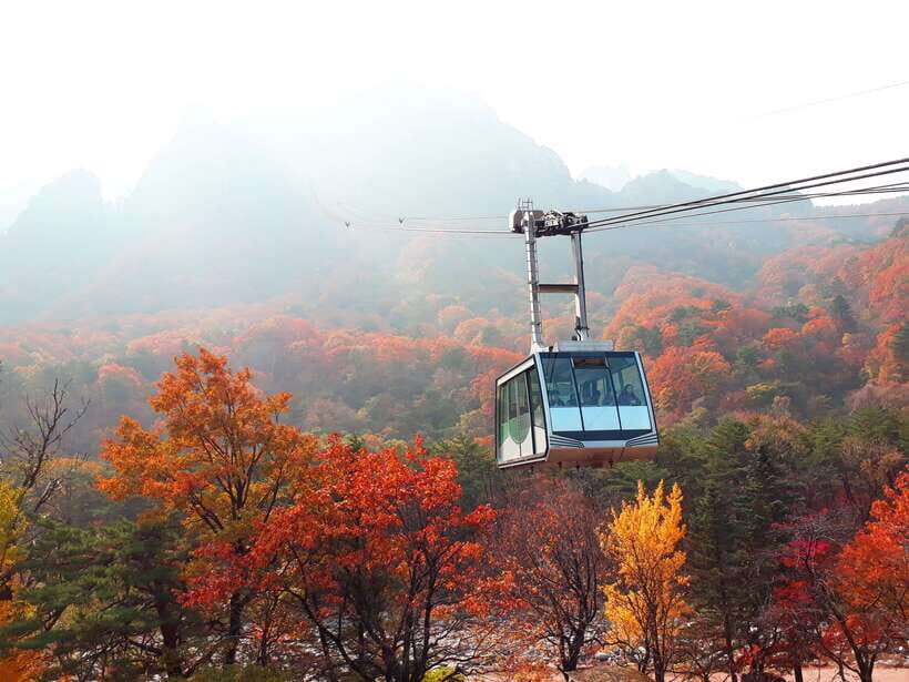 Seoul: Mt.Seorak, Nami Island & Korean Garden, No Shopping - A Deep Dive into the Experience