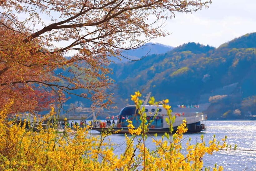 Seoul: Nami Island, Garden and Petite France (opt Railbike) - Authentic Experiences and Visitor Insights