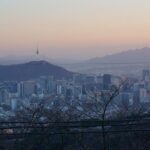 Seoul Night "Private Tour"(Korean BBQ, N-Tower, Seoul Fortress, Local Market) - Who Should Consider This Tour?
