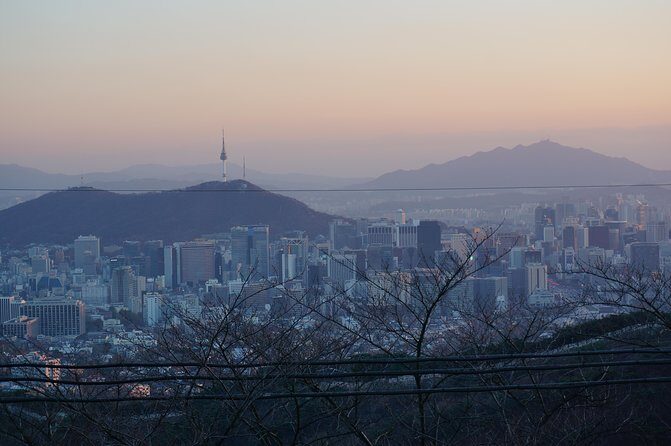 Seoul Night "Private Tour"(Korean BBQ, N-Tower, Seoul Fortress, Local Market) - Who Should Consider This Tour?