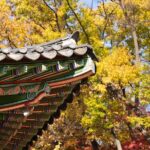 Seoul Private Layover Tour from the Airport with a Local - Tranquility at Jogyesa Temple: A Breath of Fresh Air