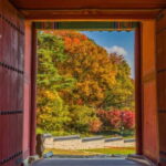 Seoul: Royal Tomb of King Sejong & Icheon Ceramic (EG Tour) - Real Travelers’ Perspectives