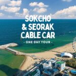 Seoul: Sokcho beach, market, hot spring and Seorak Cable Car - Who Should Consider This Tour?