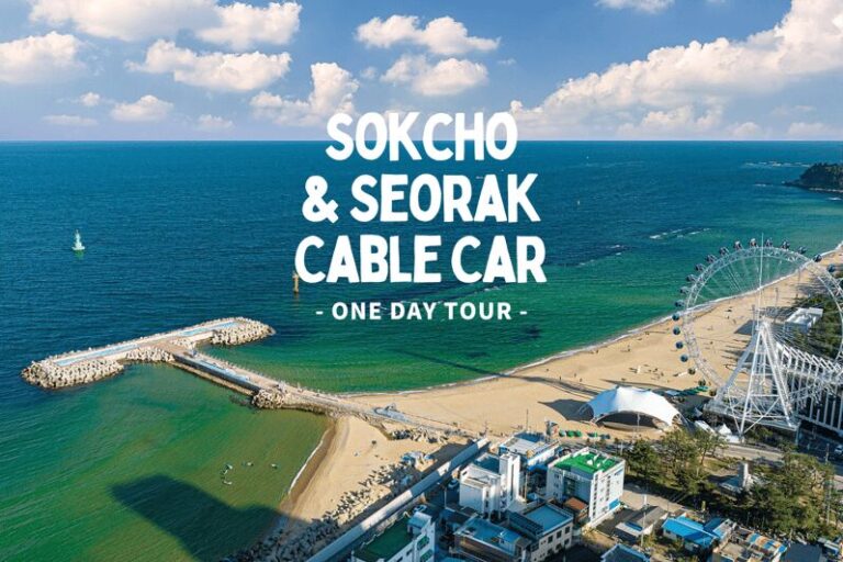 Seoul: Sokcho beach, market, hot spring and Seorak Cable Car - Who Should Consider This Tour?