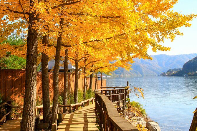 Seoul to/from Nami Island: Round trip Shuttle Bus Service - Detailed Review of the Seoul to Nami Island Shuttle Bus Service