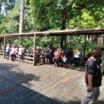 Sepilok Orangutan , SunBear, Proboscis Monkey from Sandakan City - Why This Tour Offers Great Value