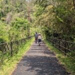Seto Inland Sea Views & Kojima Denim: Private Cycling Tour (4h) - An In-Depth Look at the Itinerary