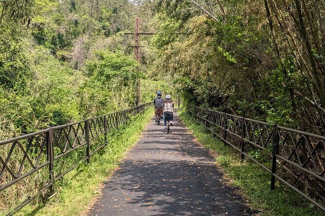 Seto Inland Sea Views & Kojima Denim: Private Cycling Tour (4h) - An In-Depth Look at the Itinerary
