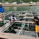 Setouchi Fishing and Culinary Adventure - Why This Tour Offers Great Value