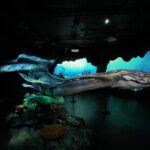 SG Gardens by the Bay Tickets & Transfer ( TRIPLE COMBO ) - Who Should Consider This Tour?