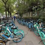 Shanghai: A Day of Immersive Suburban Life - What to Expect: The Day in Detail