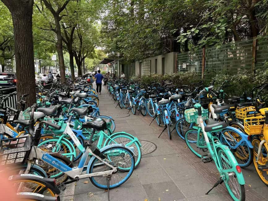 Shanghai: A Day of Immersive Suburban Life - What to Expect: The Day in Detail