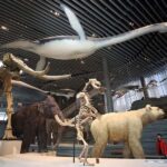 Shanghai: Yu Garden, City God Temple & River Cruise Tour - Starting Point and Overall Flow