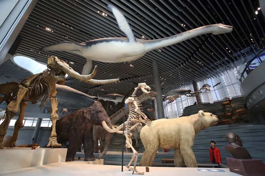 Shanghai: Yu Garden, City God Temple & River Cruise Tour - Starting Point and Overall Flow