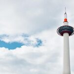 Shared Departure Transfer : Kyoto City to Kansai International Airport - Who Is This Transfer Best For?