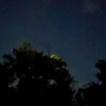 Shared Firefly Watching Cruise on Bohols Scenic Loboc River - Exploring the Loboc River Firefly Experience in Detail