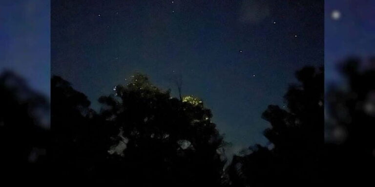 Shared Firefly Watching Cruise on Bohols Scenic Loboc River - Exploring the Loboc River Firefly Experience in Detail