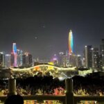 Shenzhen History: Private Day Tour with Driver and Guide - Who Should Consider This Tour?