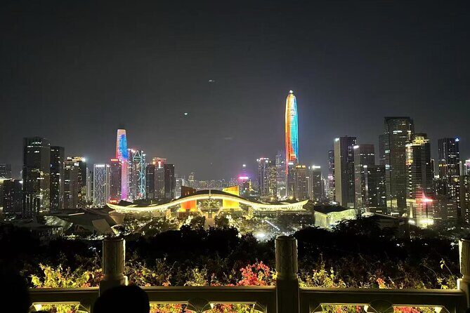Shenzhen History: Private Day Tour with Driver and Guide - Who Should Consider This Tour?