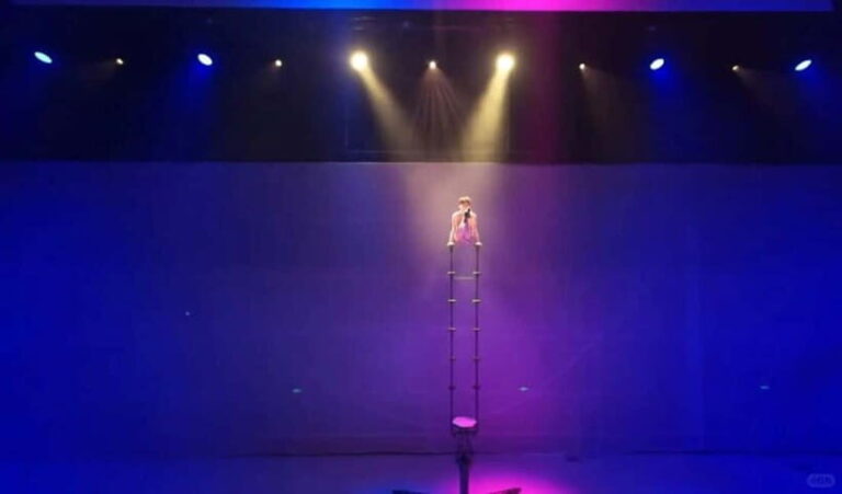 Shenzhen: Holographic Projection Show - An In-Depth Look at the Shenzhen Holographic Projection Show