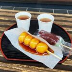 Shibamata: Step Back into Old Japan! - Who Will Love This Tour?