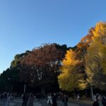 Shibuya and Harajuku Highlights Walking Tour - Shibuya: The Heart of Tokyo’s Urban Pulse