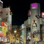 Shibuya Deep Night Walking Tour - The Sum Up
