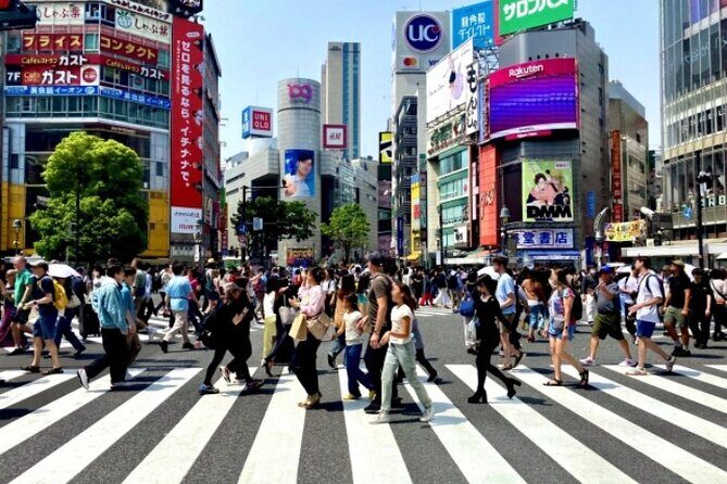 Shibuya Evening Walking Tour Tokyo in a Flash - The Experience: What You Can Expect