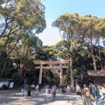 Shibuya Highlights Hachiko Scramble Meiji Jingu and Sky - The Real Value of This Tour
