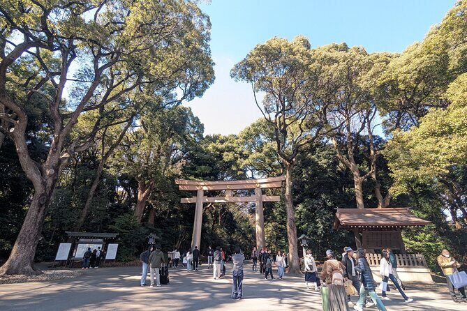 Shibuya Highlights Hachiko Scramble Meiji Jingu and Sky - The Real Value of This Tour