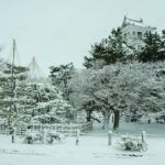 Shiga 1Day Bus Tour with Snow, Castle and Illumination from Kyoto - Who Is This Tour Best For?