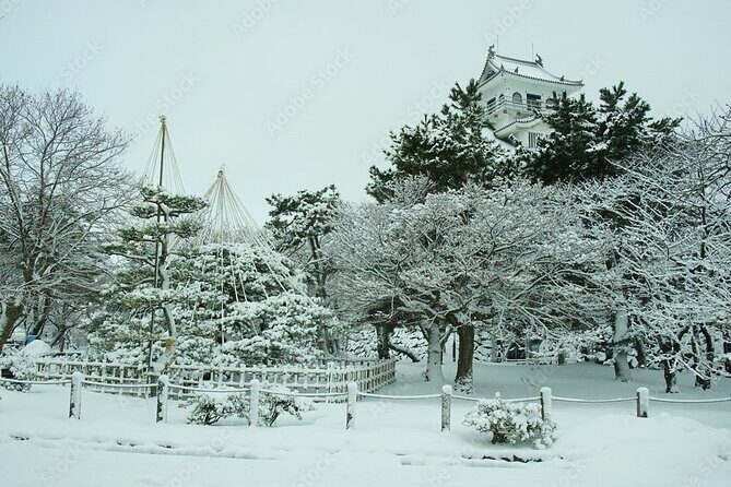 Shiga 1Day Bus Tour with Snow, Castle and Illumination from Kyoto - Who Is This Tour Best For?