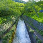 Shiga: Discover Otsus History, Culture, and Faith on Foot - The Value in a Short Tour