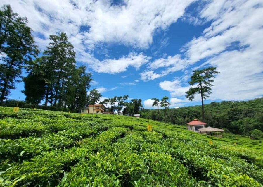 Shillong: Guided Half-Day Sightseeing Tour by Car - Who Should Consider This Tour?