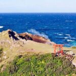 Shimonoseki Bus Tour from Fukuoka Tsunoshima Bridge - Who Will Appreciate This Tour?