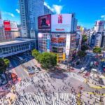Shinjuku: Tokyo in High Definition - Walking Tour - Practical Tips and Insights