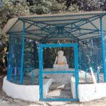 Shivapuri Peak Day Hike from Kathmandu - The Sum Up