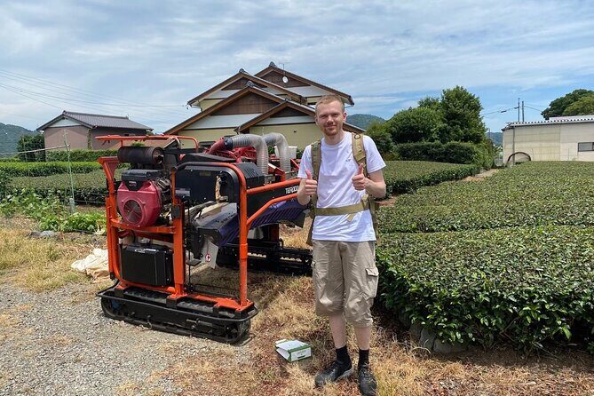Shizuoka Tea Picking Private Experience - Final Thoughts: Who Should Book?