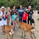 Shore Excursion: Full Day Private Nara Tour from Osaka /Kobe port - The Experience From a Traveler’s Perspective