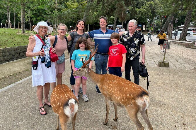 Shore Excursion: Full Day Private Nara Tour from Osaka /Kobe port - The Experience From a Traveler’s Perspective