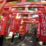 Shore Excursion to Kyoto from Kobe All Inclusive Tour - Making the Most of This Tour: Pros and Cons