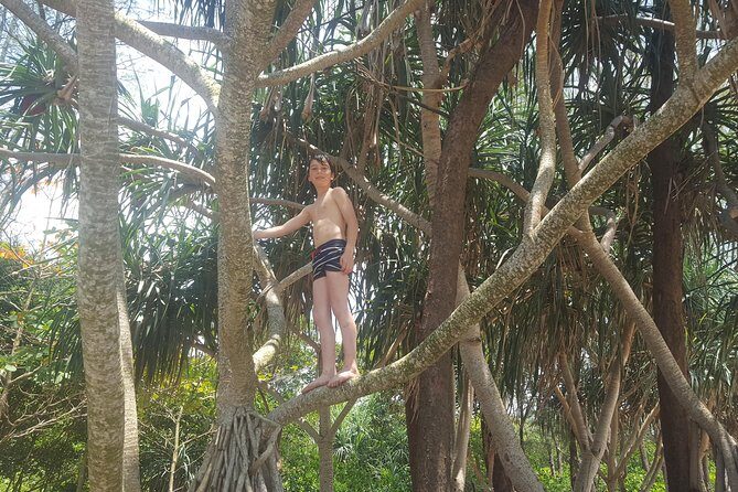 Shoreline Cruise and Secluded Beach - Frequently Asked Questions