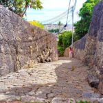 Shurijo Castle & Royal Mausoleum Tour  Ryukyu Kingdom Heritage - An in-Depth Look at the Tour Experience
