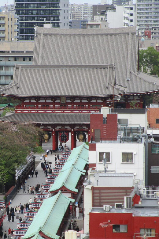 Shuttle Van Tour Tokyo for 4 Hours or 6 Hours+Transfer Time - Detailed Breakdown of the Tour Experience