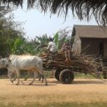 Siem Reap Countryside & Floating Village ( Meychrey) - Final Thoughts