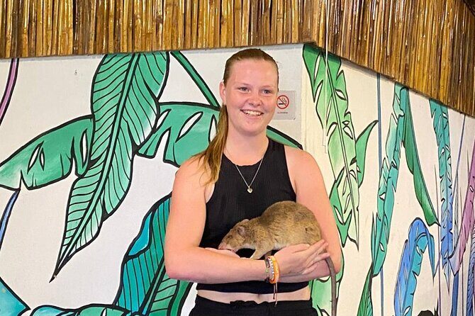 Siem Reap Guided Tour & Hero RATs at APOPO Visitor Center - Key Points