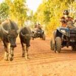 Siem Reap Rustic Side Quad Bike Adventure - Exploring the Siem Reap Rustic Side: An In-Depth Review