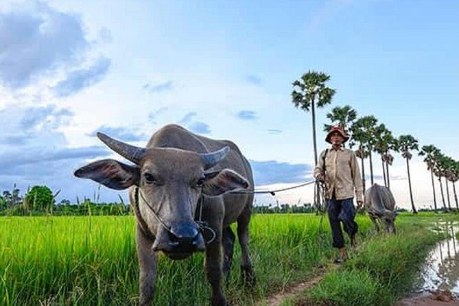 Siem Reap: Silk Farm & Countryside Offbeat Jeep Tour - Who Will Love This Tour?